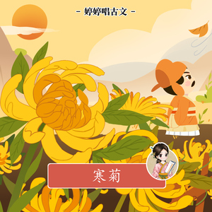 中国公厕toilet美女沟
