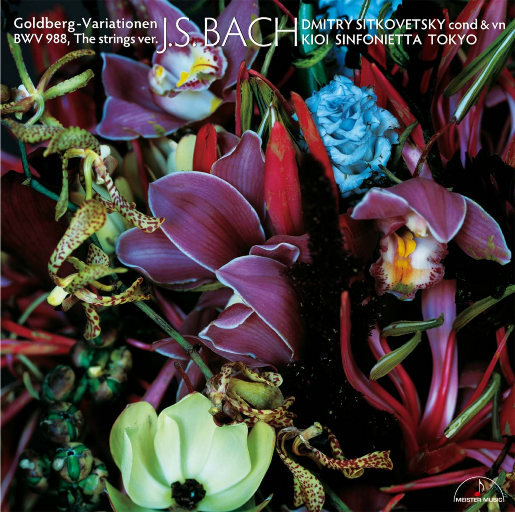 中国公厕toilet美女沟
